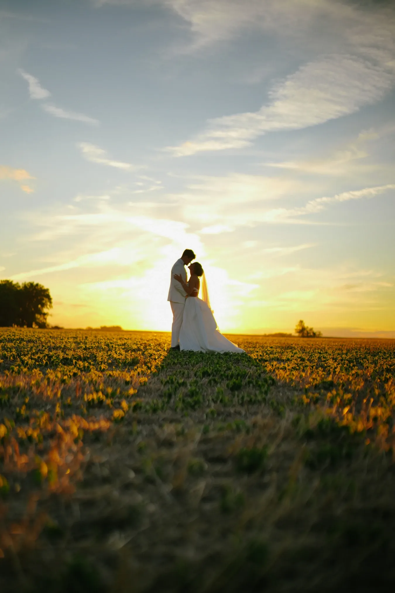 Amy & Teddy wedding at Family farm