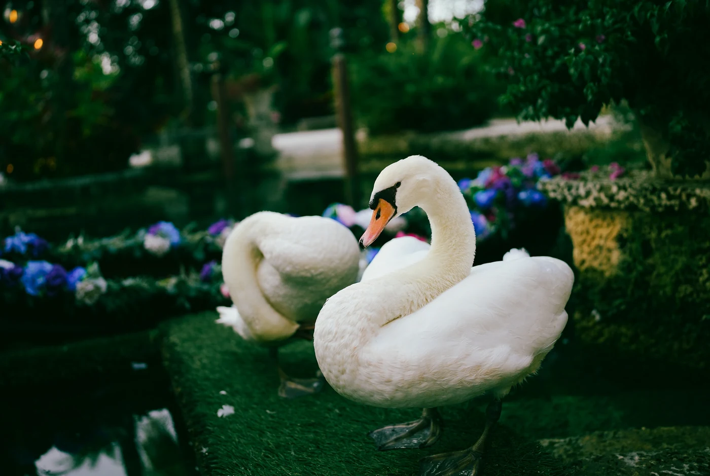 Catherine & Nolan wedding at Villa Toscana